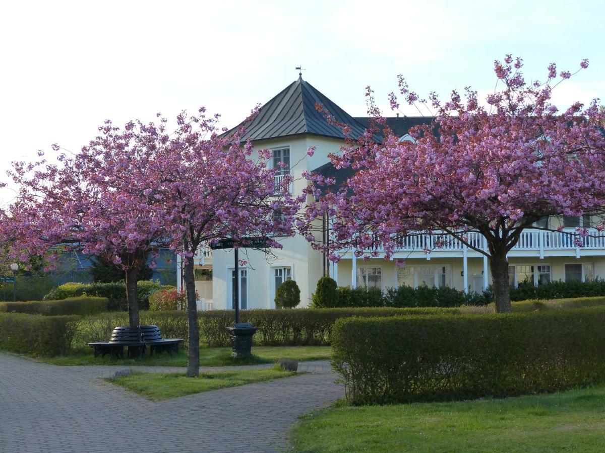 Duenenpark In Binz Fuer Eltern Und Kindアパートメント エクステリア 写真